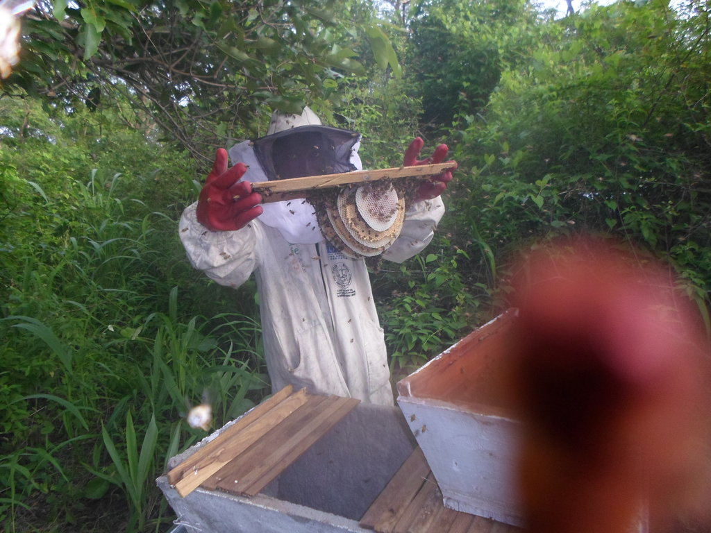Bring smile to 300villagers Benin with beekeeping!
