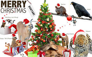 Christmas Gift - Donate for An Animal