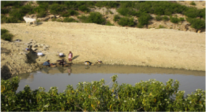 Rain Water in Pond used for Drinking