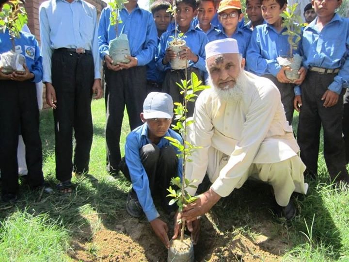 Teacher helping student in planting a tree