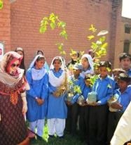 Students with their trees