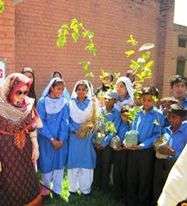Students with their trees
