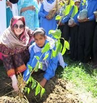 Plantation is going on