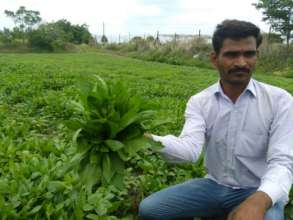 Kalidas takes pride in our new produce