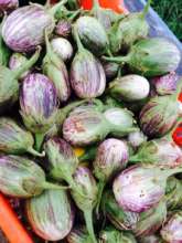 Aubergine or Egg Plant - you decide?