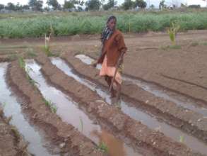 Natural therapies give beneficiaries more energy