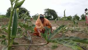 Sunita now has food whenever she wants