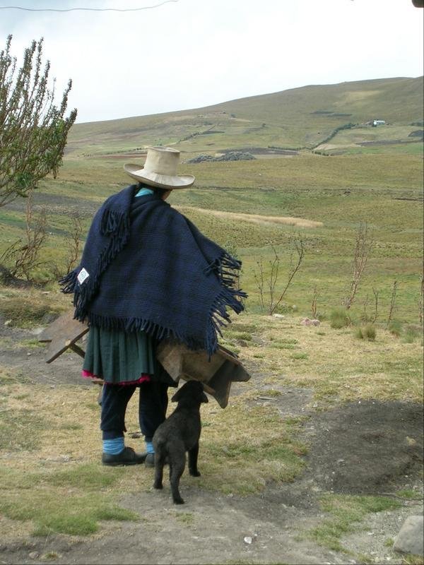 Bring Wind Energy to 33 Peruvian Homes