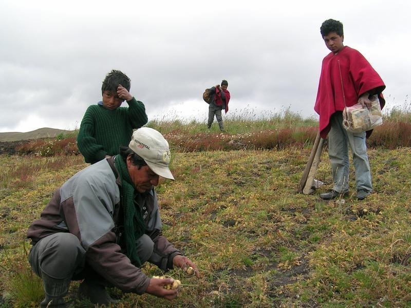Bring Wind Energy to 33 Peruvian Homes