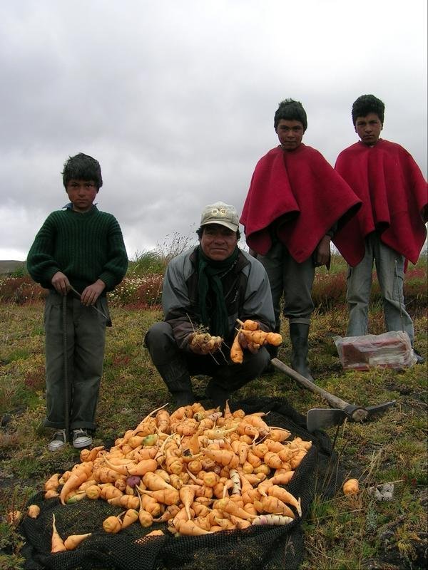 Bring Wind Energy to 33 Peruvian Homes