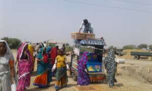 Poultry distribution