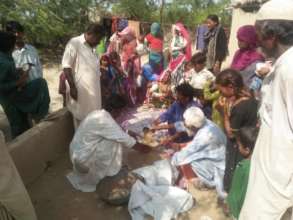 Bajani families learning Nadi filter