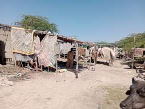 flood affected houses