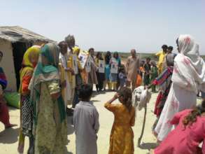 Solar Lights for Bajani communities