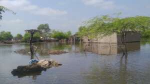 Full villages submerged in flood water