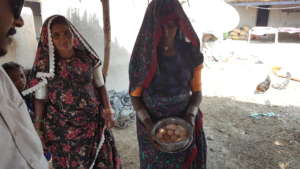 eggs ready to sale in village & nearby market
