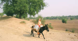 water shortage for drinking as well as crops