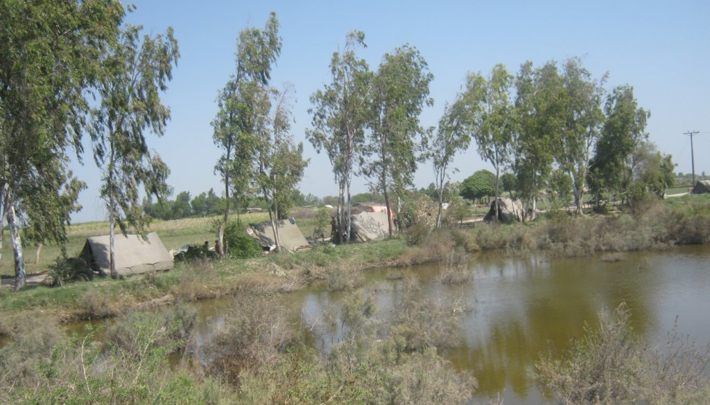 Support Minority Hindu BAJANI Communities