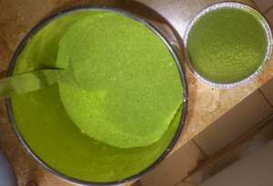 Moringa Leaf Powder distributed as sample