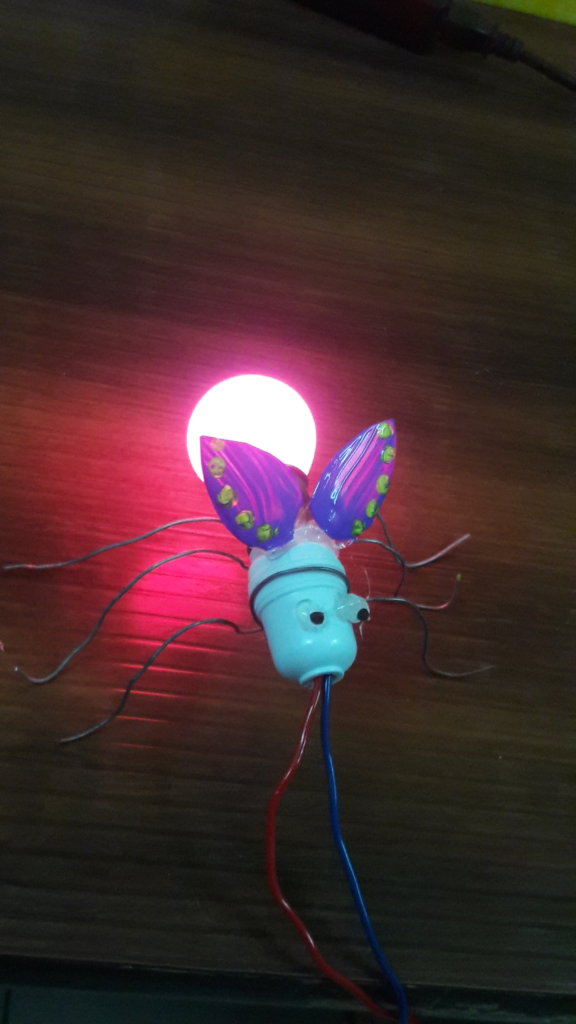 Project by a girl