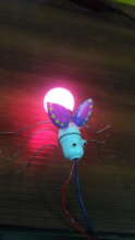 Project by a girl