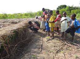 Kids planting vegs