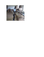 Amos Freeman doing practical in his community