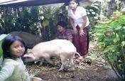 Sustainable Agriculture for Women Farmers