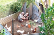 Happy Chickens for Food Security and Environment