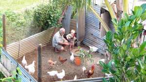 Happy Chickens for Food Security and Environment