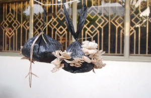 Two mushroom gardens hanging by a window