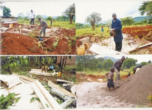Developing timber for furniture needs: