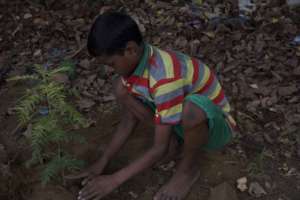 Children got their hands on dirt to plant trees