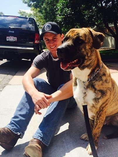 Waggin' Wheels Rescue From High Kill Shelters - GlobalGiving
