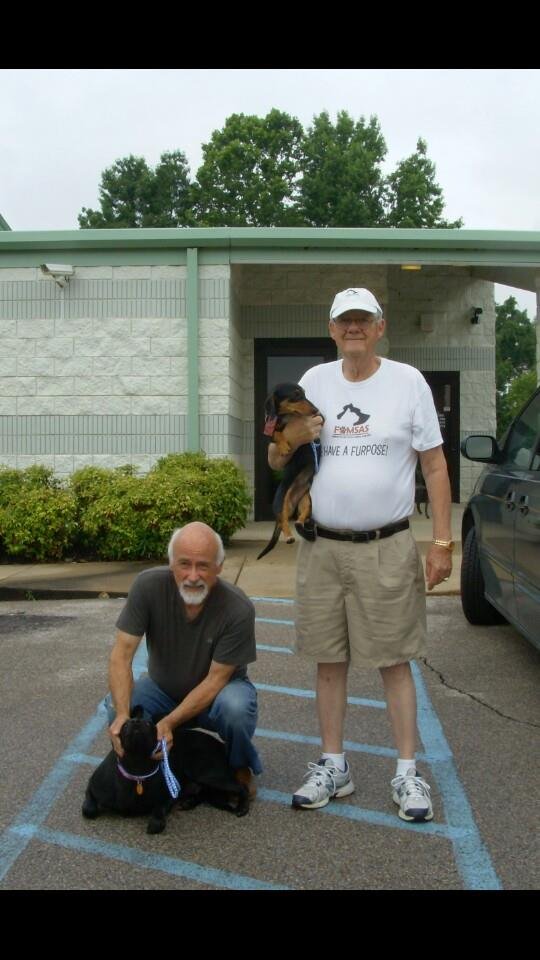 Waggin' Wheels Rescue From High Kill Shelters - GlobalGiving