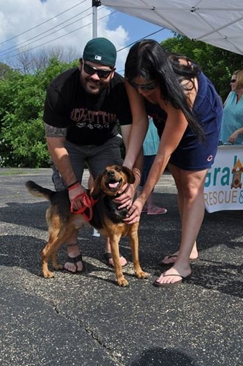 Waggin' Wheels Rescue From High Kill Shelters - GlobalGiving