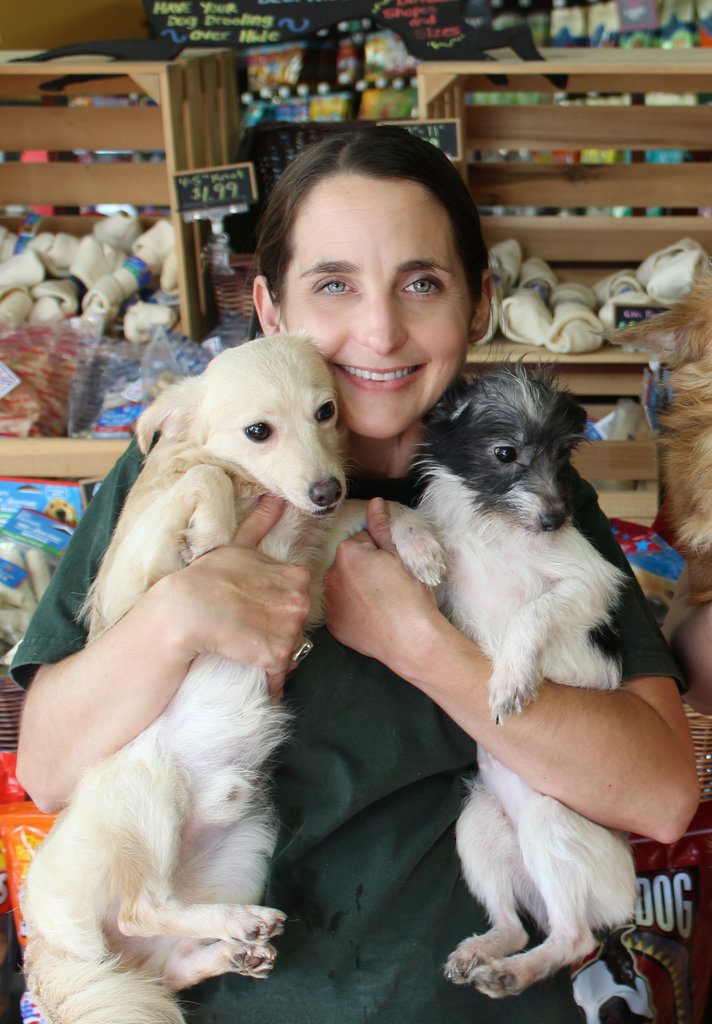 Waggin' Wheels Rescue From High Kill Shelters - GlobalGiving