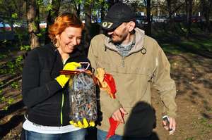 Cleaning the city from dirty needles