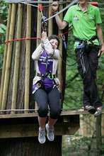 Go Ape