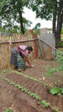 Planting in the garden.