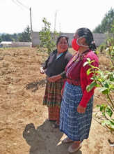 A gardening consultation.