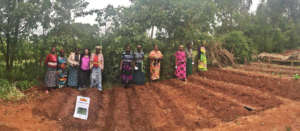 Soyama Ladies Association Vegetable Garden