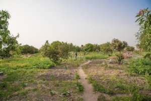 A garden started with Safe Hands for Girls.