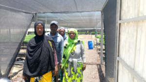 Arriving for the commercial farm demonstration