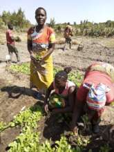 Tending the community-managed nursery
