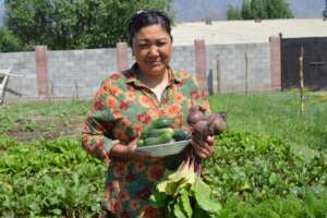 Growing cucumbers and beets