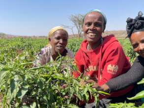 Fatima and others with their pepper plants