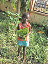Annie harvesting Greens with Hope Opens Doors
