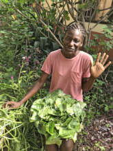 Harvesting Greens with Hope Opens Doors