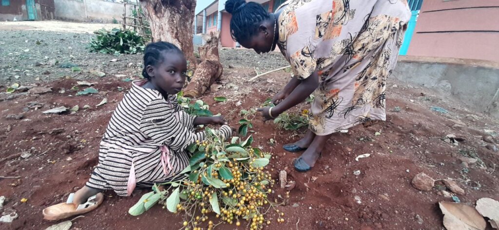 Mother and daughter harvesting food in Ethiopia